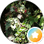 Pati C. Avatar