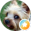 Stacy S. Avatar